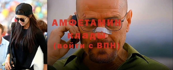 ГАЛЛЮЦИНОГЕННЫЕ ГРИБЫ Алзамай