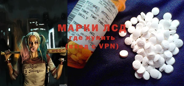 ГАЛЛЮЦИНОГЕННЫЕ ГРИБЫ Алзамай
