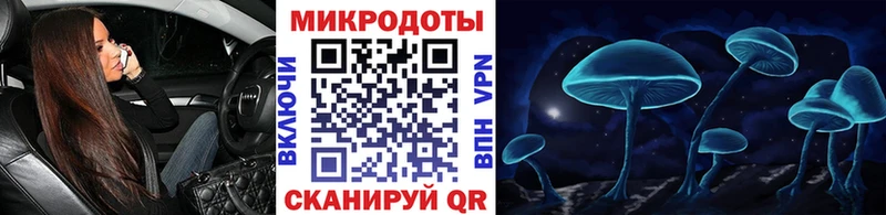 мега как войти  Ардон  Псилоцибиновые грибы GOLDEN TEACHER 